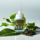 Triple Green energy Anti-Oxidant Ampule 어블리 트리플 그린 에너지 안티옥시던트 앰플