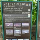 대마8세천 | 어버이날 부모님과 함께하는 당일 여행 - 강원도 철원 가볼만한 곳