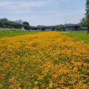 경산자전거오아시스 이미지