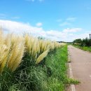 하단동1207 이미지