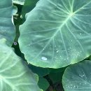 삼산동로 이미지