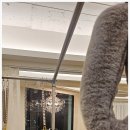 동광로10길 10 | 기대만큼 좋았던 방배동 필라테스 라움 필라테스 바레 방배점