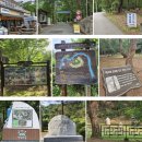 천년한우 다다농장 2농장 | 사찰이 이렇게 예뻐도 돼? 부처님 머리 닮은 불두화 만개한 홍천 수타사 계곡 산책, 인생샷 명소 &amp; 코디...