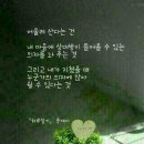 태영과동행 이미지