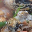 보배식당 - 창원시 진해구 | 보배식당