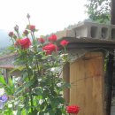 고자리 마을회관 이미지