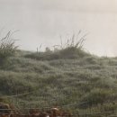 (주)장성 이미지