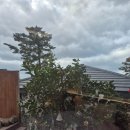 제주서가 이미지