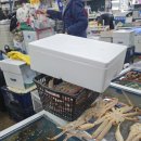 동광어시장 이미지