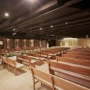 베라카채플웨딩 이미지