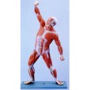 은 세상 이미지