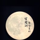 한잔붓다