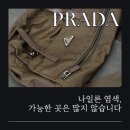 신사의 명품세탁 이미지