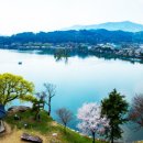 제천시 의림지 주차장 이미지