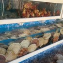 싱싱회관 이미지