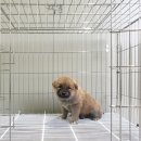 여주-0763 티스토리
