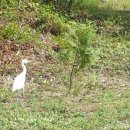 상순목장 이미지