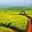 기타교실(중급반) 이미지