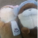 역전인형뽑기 이미지