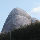 진안 가축인공수정소 이미지