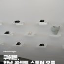 더솔라이브러리