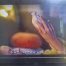 상하화보건진료소 | 애니: 널 사랑해 - 장릉혁, 서약함 주연 이른 봄의 개나리 같은 드라마 (중드 현대 로맨스 드라마 추천)