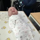 해피베이비 | [수원 산모교실] 해피베이비 교육원 방문 후기! 실습 위주라 대만족 👶✨