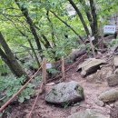 동산계곡 주차장 이미지