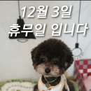 개꿀이발소 네이버블로그