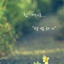 면목동-064 네이버블로그