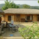 다래와 잣나무 이미지