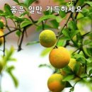 품안 이미지