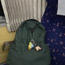 포레스트모가 이미지