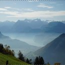 관절천국 이미지