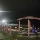 닭치시오 이미지