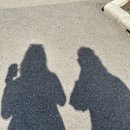 코이호텔 이미지