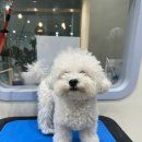 Mong's(몽'스) 이미지