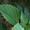 설봉경로당 이미지