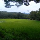 산골 논두렁 이미지