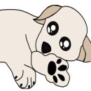 카페243