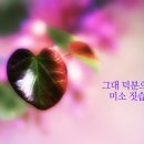 요고조고