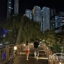 안흥유원지 이미지