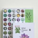 꽃보다 깜직한 야생화 도감 '필드가이드 꽃(봄)' 이미지
