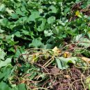 병순농장 이미지