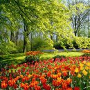 꽃밭에서 이미지