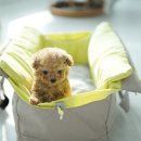 플러피펫 이미지