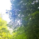 수림약품 이미지