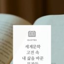 문학에서 삶 읽기 이미지