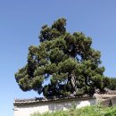 최충영정 이미지