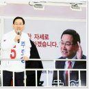 동아목련 이미지